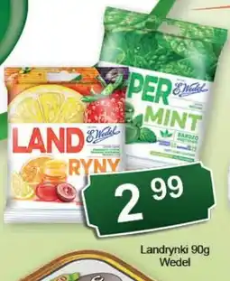 Eden Landrynki Wedel oferta