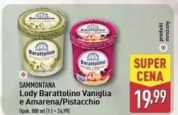 ALDI Lody vaniglia e amarena Sammontana Barattolino oferta