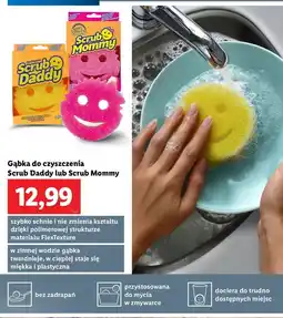 Lidl Gąbka scrub daddy oferta