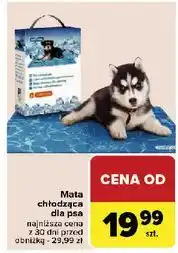 Carrefour Mata chłodząca dla psa oferta