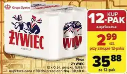 Carrefour Piwo Żywiec Jasne Pełne oferta