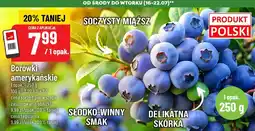 Polomarket Borówki amerykańskie Polo oferta