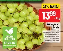 Polomarket Winogrono białe Polo oferta