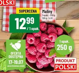 Polomarket Maliny Polo oferta