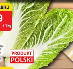 Polomarket Kapusta pekińska Polo oferta