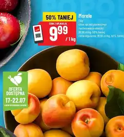 Polomarket Morele POLOmarket oferta