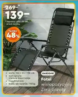 Biedronka Fotel ogrodowy Gardenic oferta