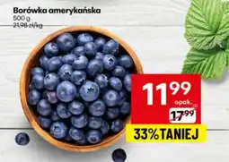 Delikatesy Centrum Borówka amerykańska K! oferta