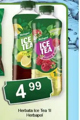 Eden Herbata Ice Tea Herbapol oferta