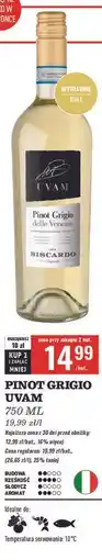 Biedronka Wino Uvam Pinot Grigio oferta