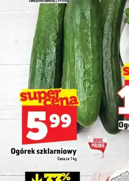 Topaz Ogórek szklarniowy oferta