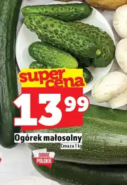 Topaz Ogórek małosolny oferta