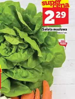 Topaz Sałata masłowa oferta