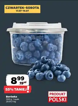 Netto Borówka Netto oferta