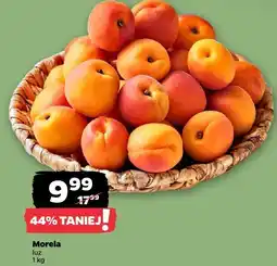 Netto Morela Netto oferta