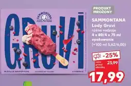 Kaufland SAMMONTANA Lody Gruvi oferta