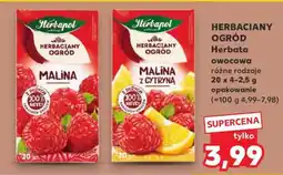 Kaufland Herbaciany Ogród oferta