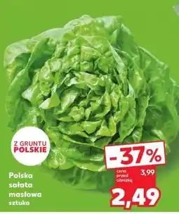 Kaufland Polska sałata masłowa sztuka oferta