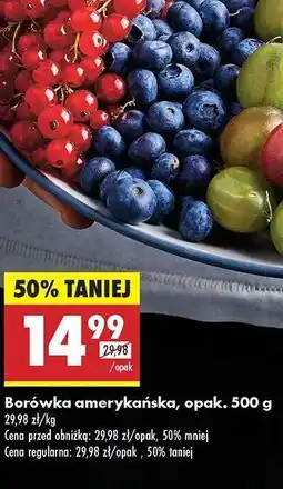 Biedronka Borówka amerykańska opak 500 g oferta