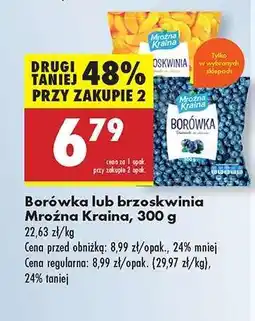 Biedronka Borówka lub Brzoskwinia Mroźna Kraina, 300 g oferta