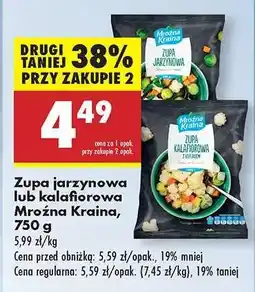 Biedronka Zupa jarzynowa lub kalafiorowa Mroźna Kraina , 750 g oferta