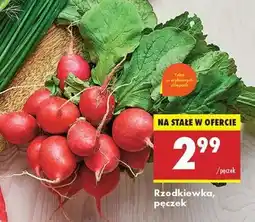 Biedronka Rzodkiewka pęczek oferta