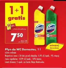 Biedronka Płyn do WC Domestos 1 l oferta