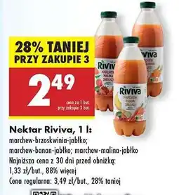 Biedronka Nektar Riviva, 1 l oferta