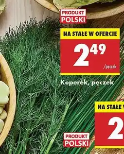 Biedronka Koperek pęczek oferta
