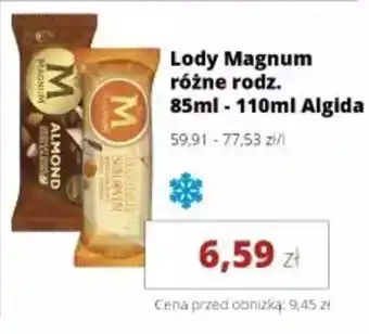 Torimpex Lody Magnum Algida oferta