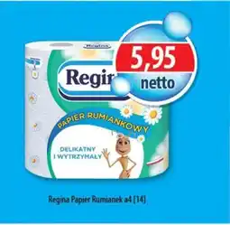 DUO-TES Regina Papier Rumianek a4 oferta