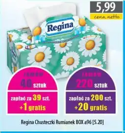 DUO-TES Regina chusteczki rumianek box a96 oferta