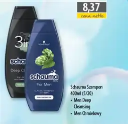 DUO-TES Schauma szampon oferta