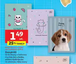 Auchan Zeszyt a5/16 kartek kratka Interdruk oferta