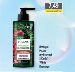 DUO-TES Herbapol polana mydło do rąk oferta