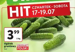 Intermarche Ogórek gruntowy Intermarche oferta