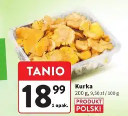 Intermarche Kurka Intermarche oferta