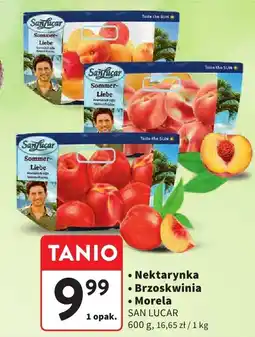 Intermarche Nektarynka/brzoskwinia/morela SAN LUCAR oferta