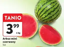 Intermarche Arbuz mini czerwony Intermarche oferta
