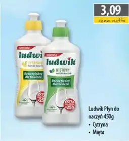 DUO-TES Ludwik Płyn do naczyń oferta