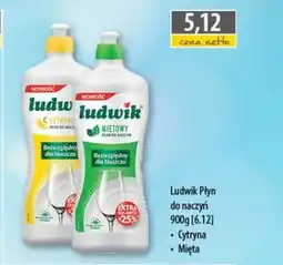 DUO-TES Ludwik płyn do naczyń oferta