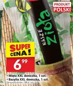 Twój Market Bazylia XXL doniczka Twój Market oferta