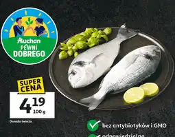 Auchan Dorada świeża Pewni Dobrego oferta