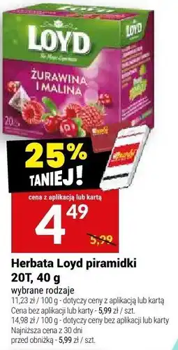 Twój Market Herbata Loyd piramidki żurawina i malina, 20T, 40 g oferta