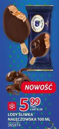 Selgros Lody Śliwka Nałęczowska Solidarność oferta