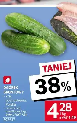 Selgros Ogórek gruntowy Selgros oferta