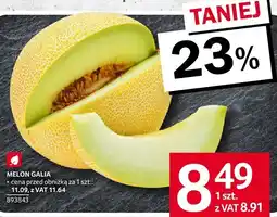 Selgros Melon Galia Selgros oferta