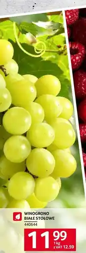 Selgros Winogrono białe stołowe Selgros oferta
