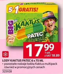 Selgros Lody kaktus patec Selgros oferta