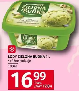Selgros Lody zielona budka oferta